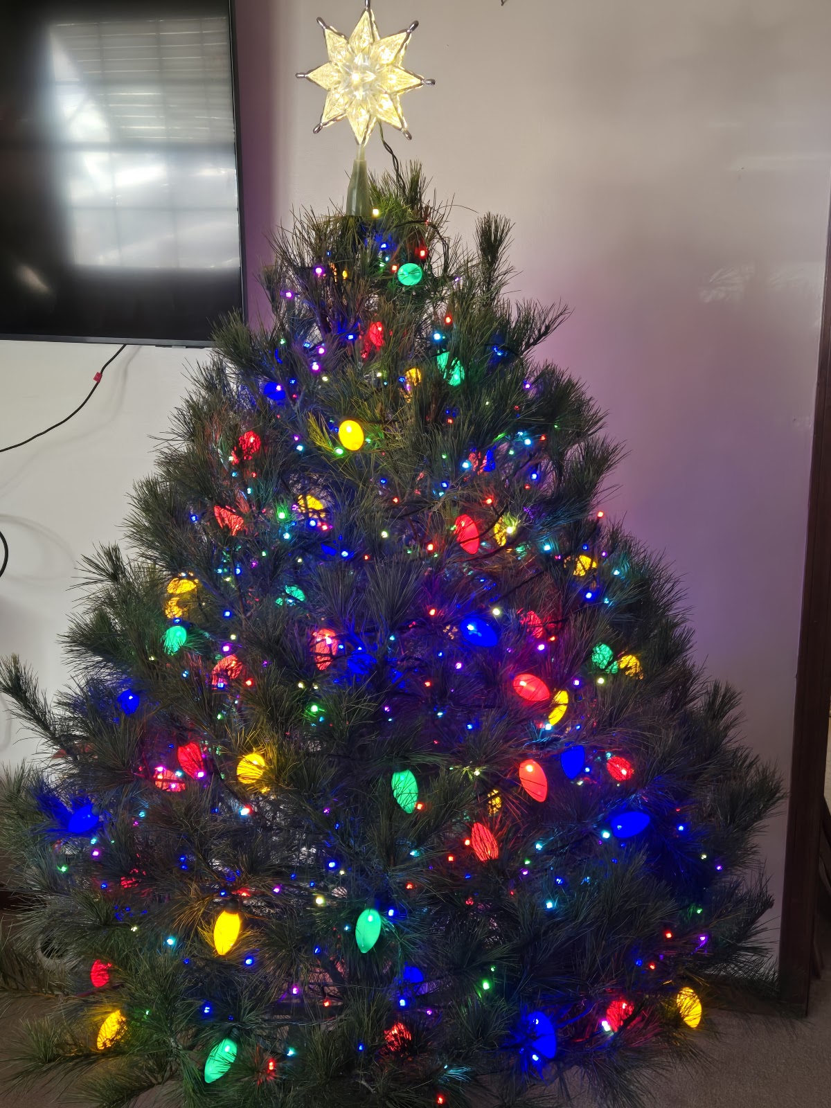 FIVE OAKS HONEY AND CHRISTMAS TREE FARM in Higginsville, Missouri