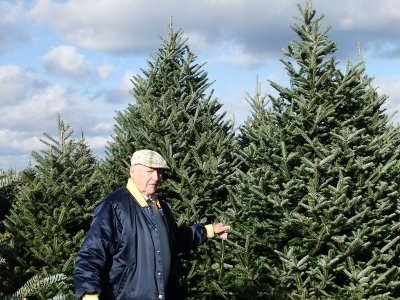 Fontaine Tree Farm - Penny Lane in Stannard, Vermont