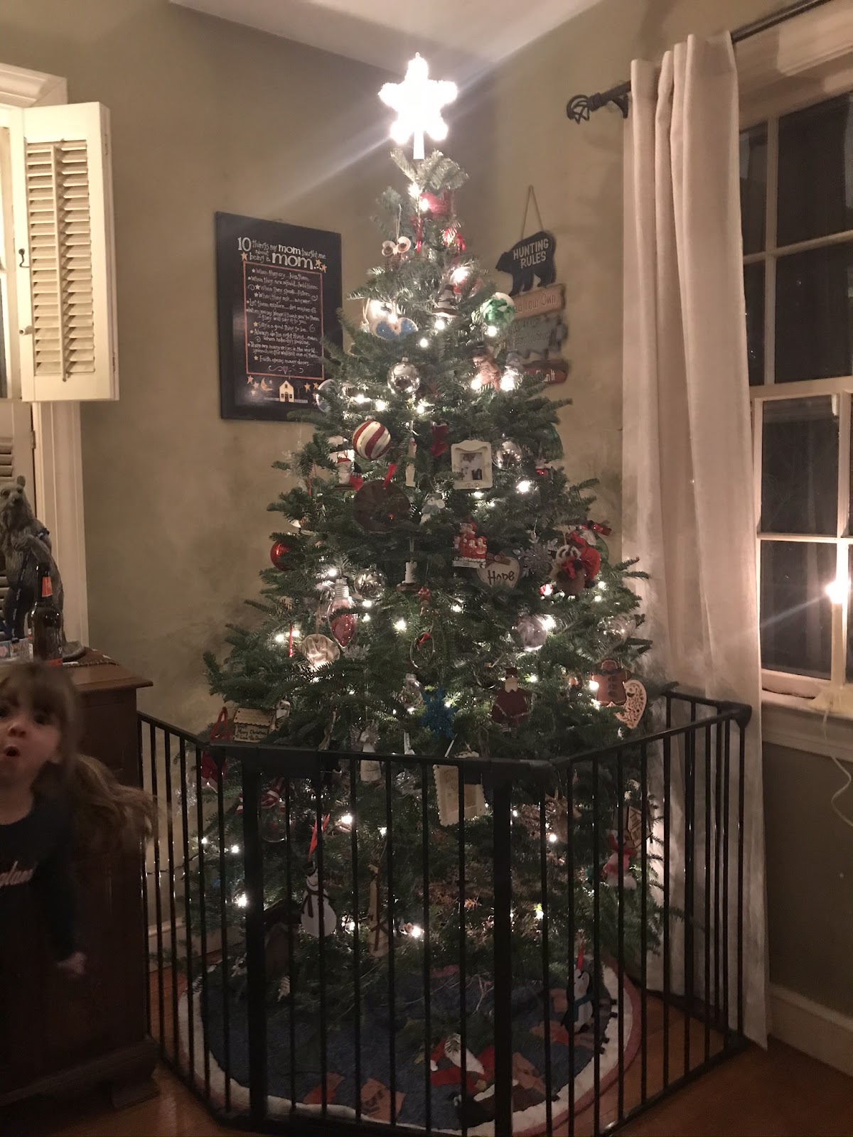Foss Christmas tree in Limerick, Maine