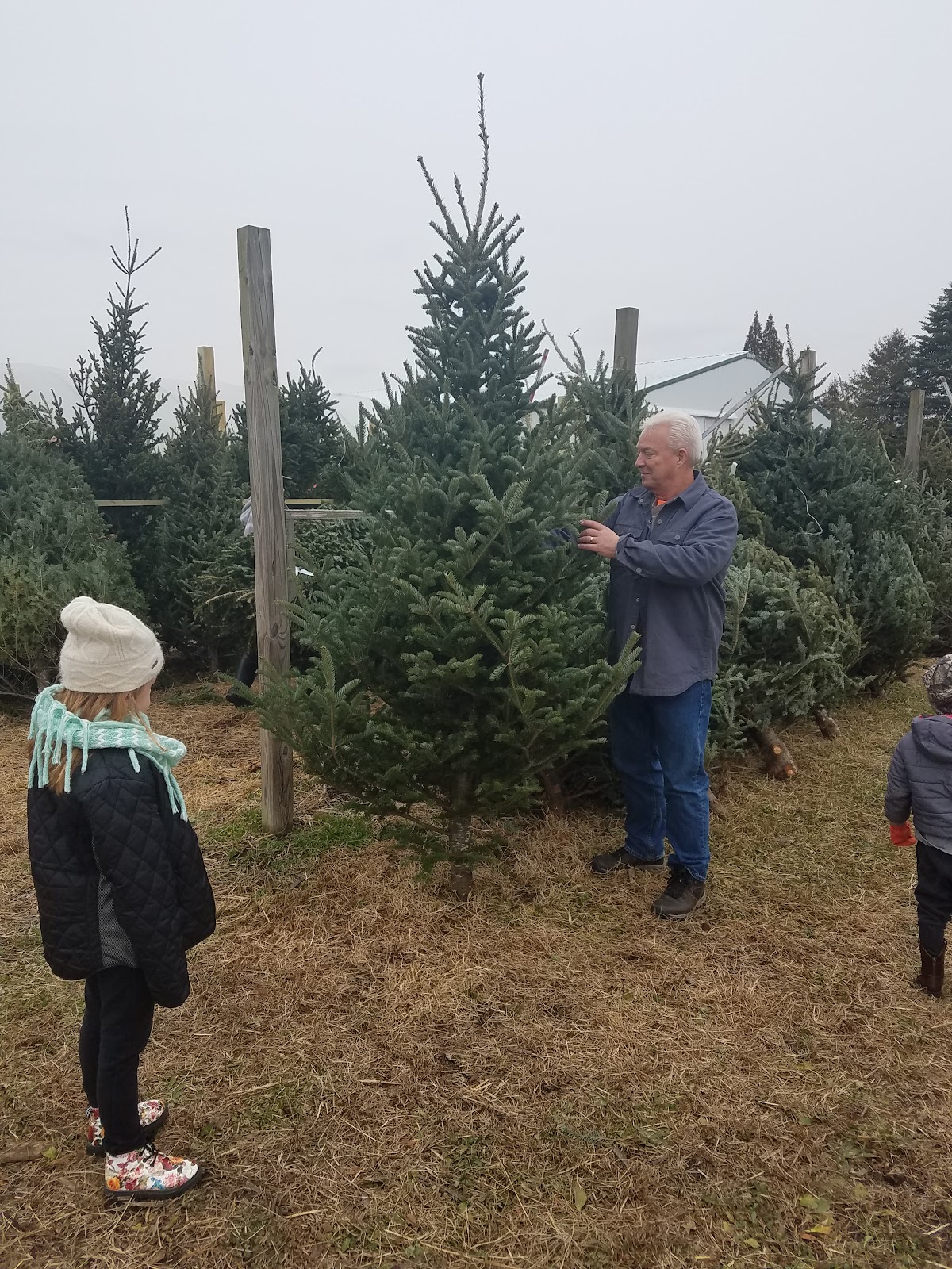 Four E's Trees Inc in Decatur, Illinois