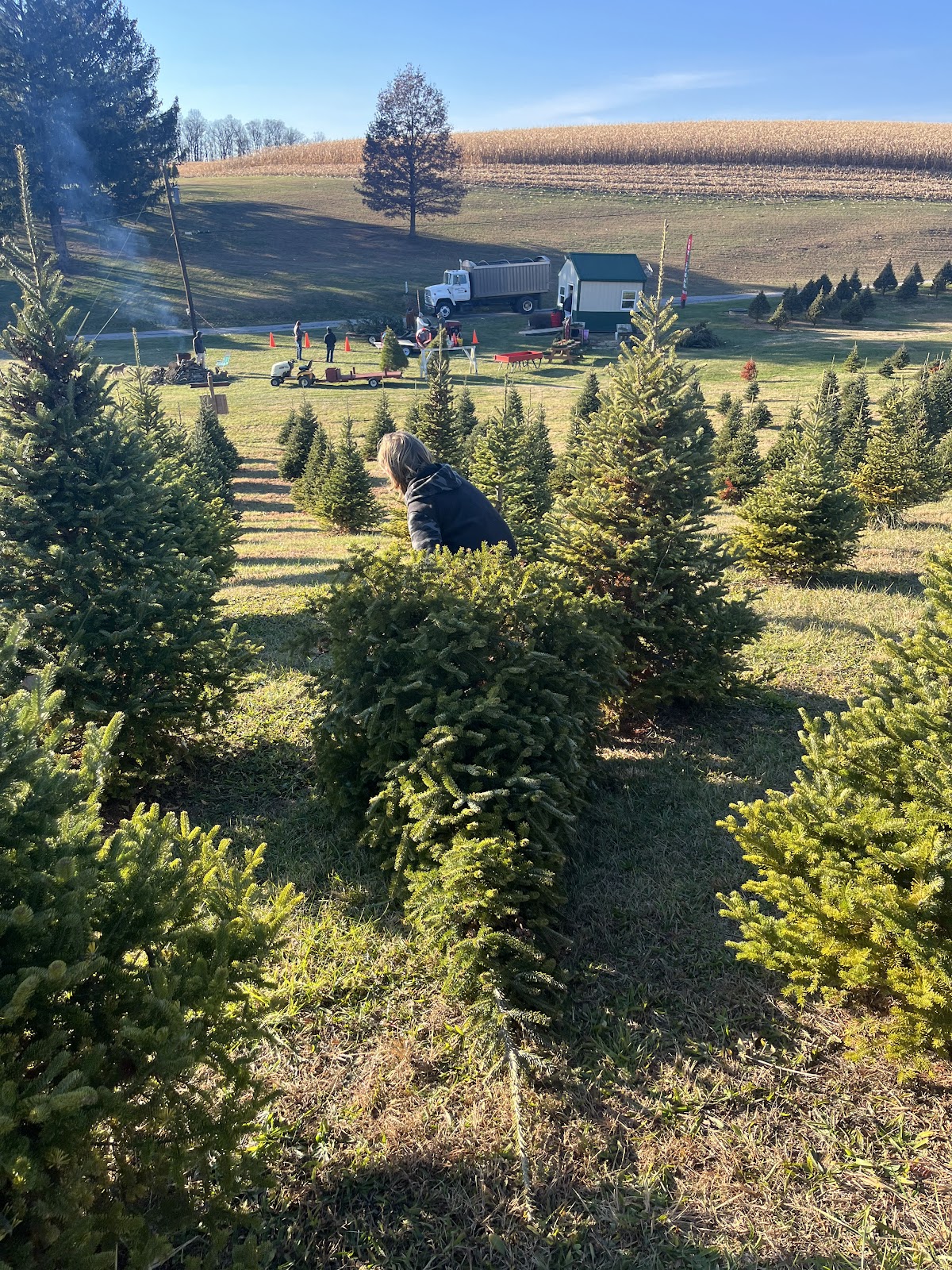 Fra-Mar Tree Farm in Hampstead, Maryland