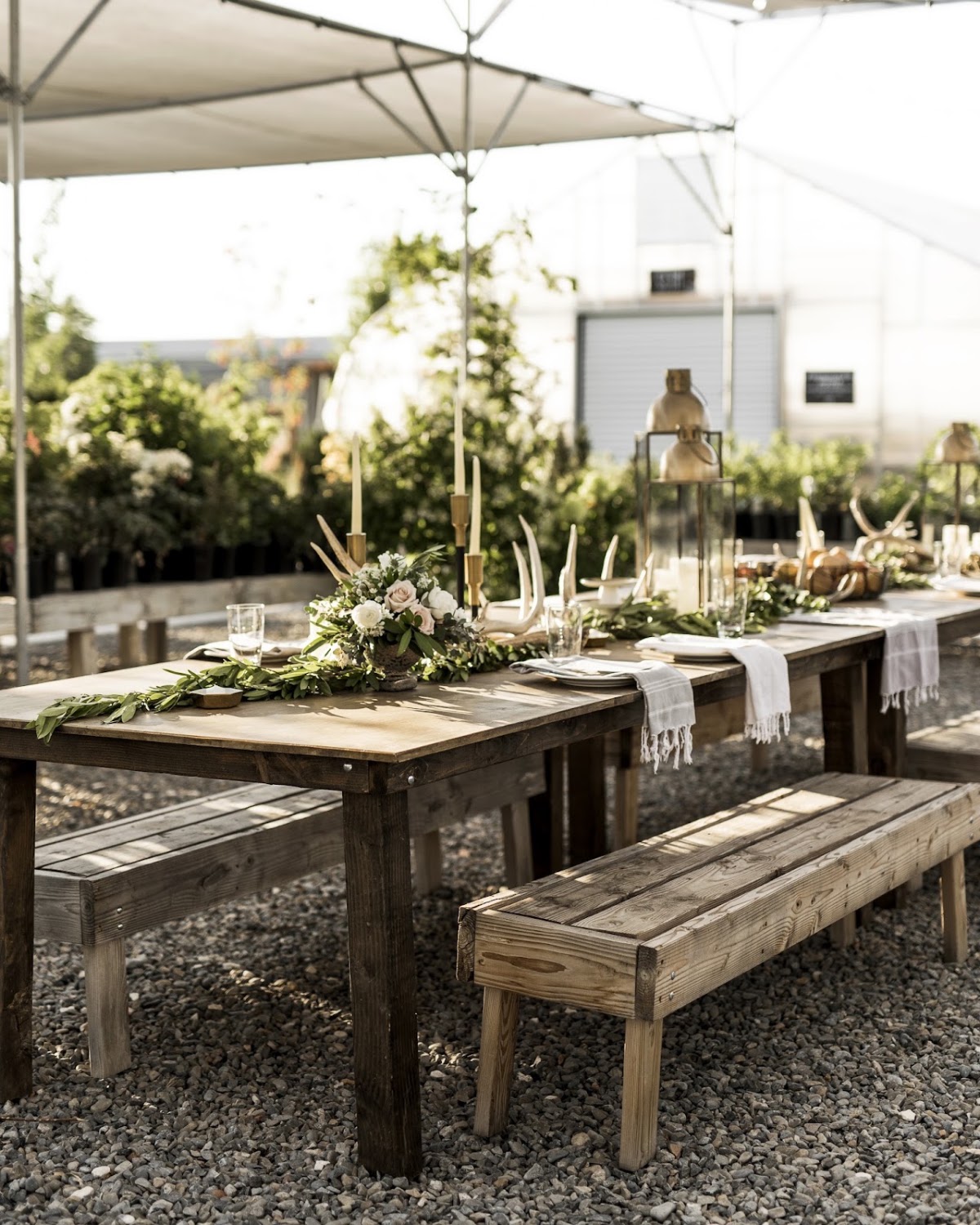 Freckle Farm in Hyde Park, Utah