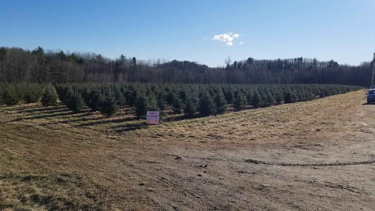 Frederickson Tree Farm in Monmouth, Maine