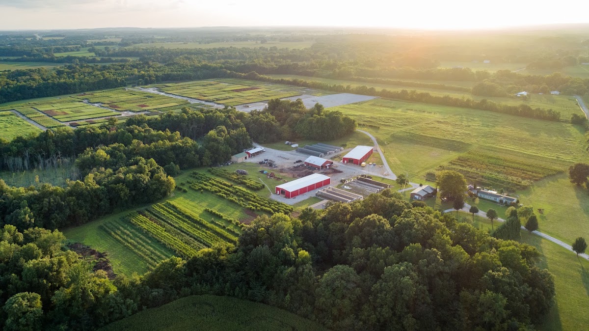 Freedom Tree Farms in Hillsboro, Tennessee