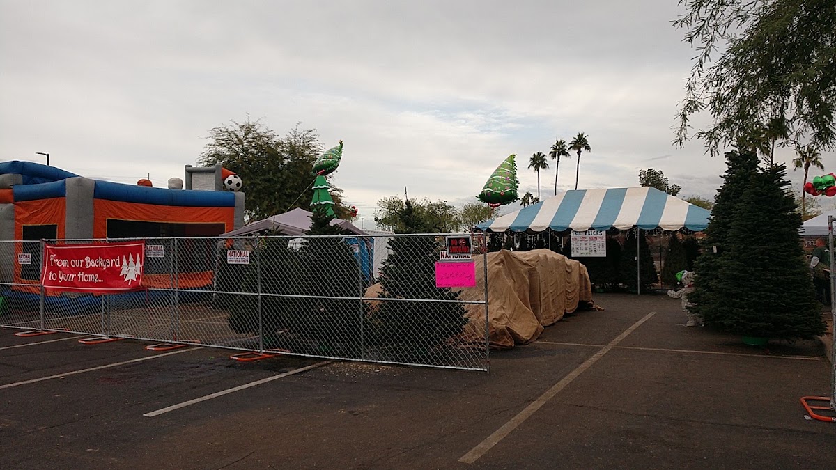 Friendly Christmas Trees in Peoria, Arizona