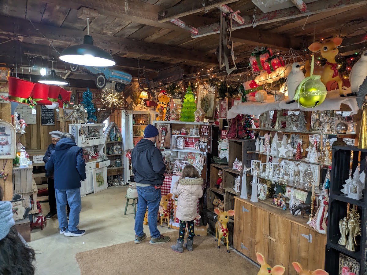 Friendship Trees and Christmas Shop in Friendship, Maryland