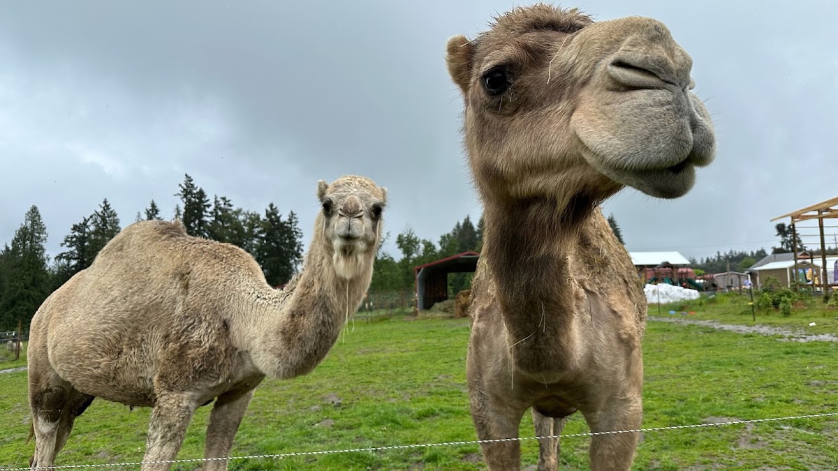 Frog Pond Farm in Wilsonville, Oregon