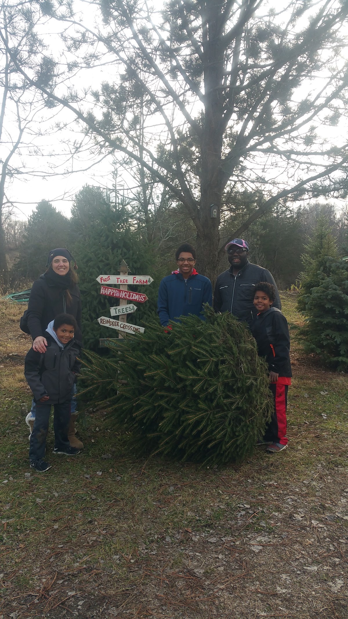 Frost Tree Farms in Denver, Iowa