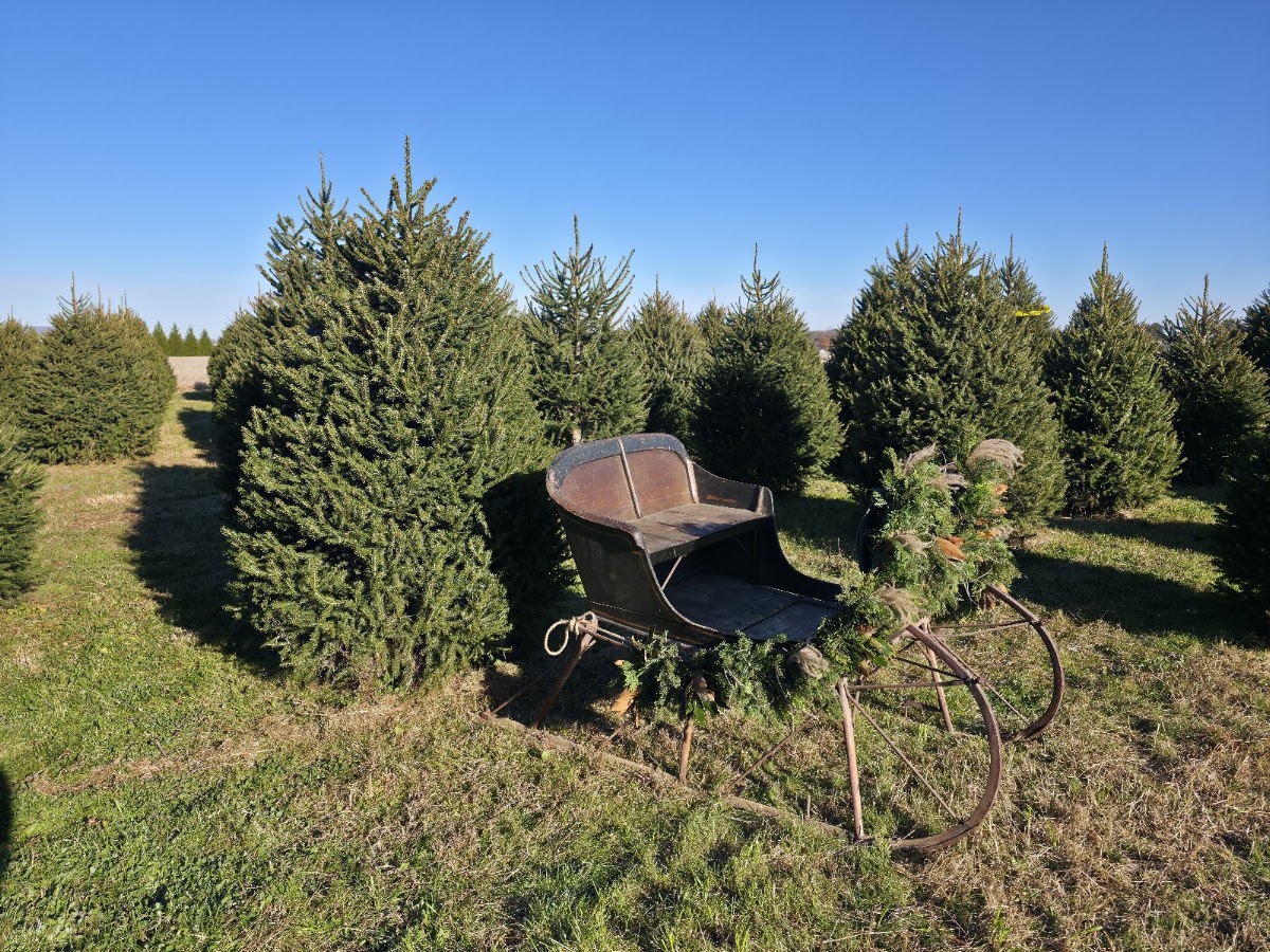 Frosted Pine LLC in Clayton, Delaware