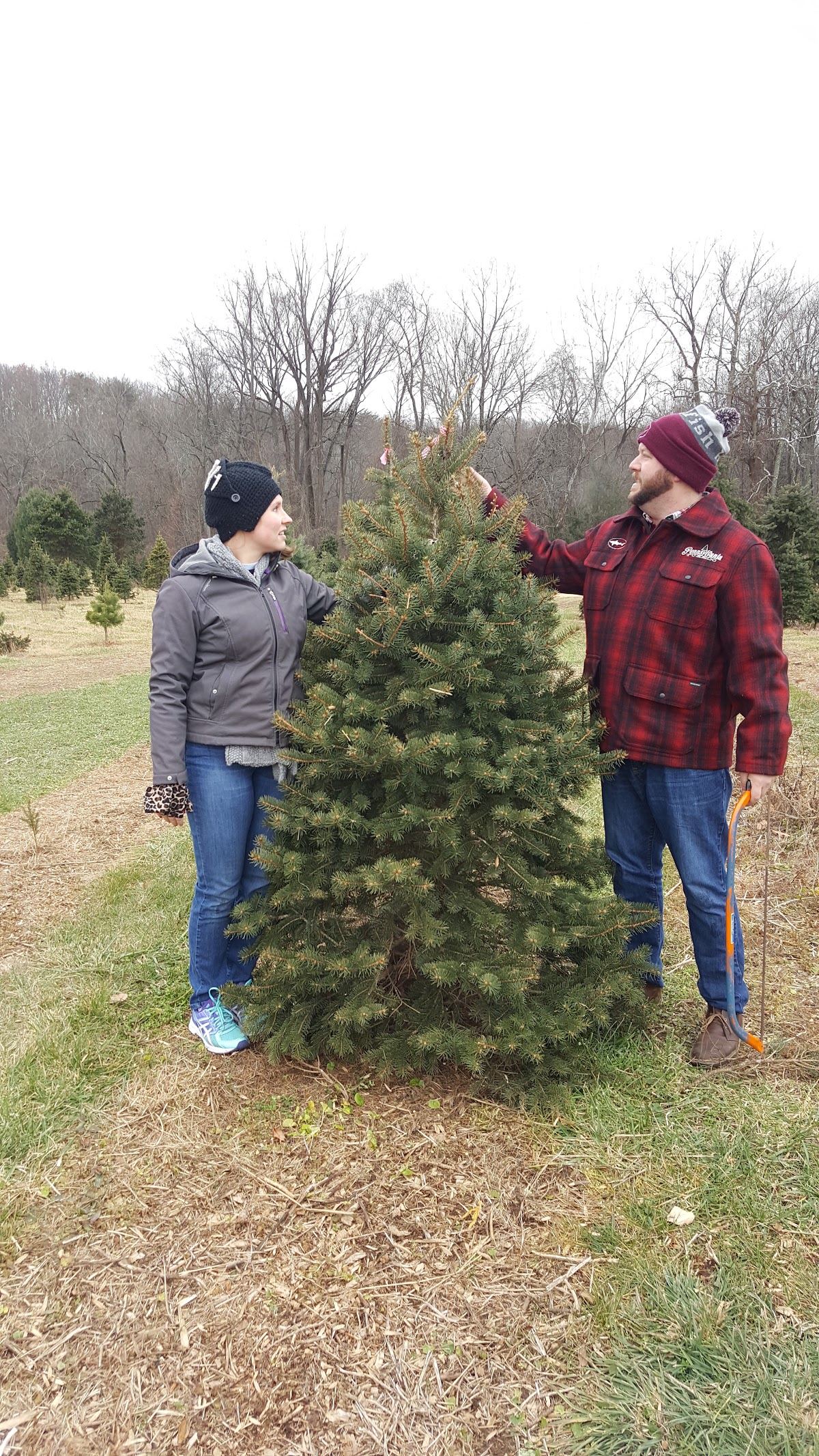 Frostee Tree Farm in Perry Hall, Maryland