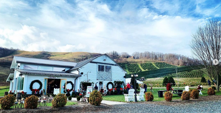 Frosty's Choose and Cut in West Jefferson, North Carolina