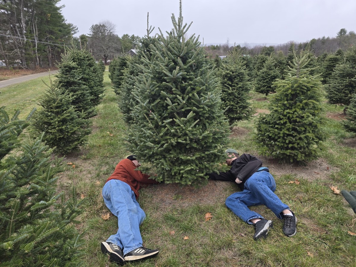 Fullerton Christmas Tree Farm in Haverhill, New Hampshire