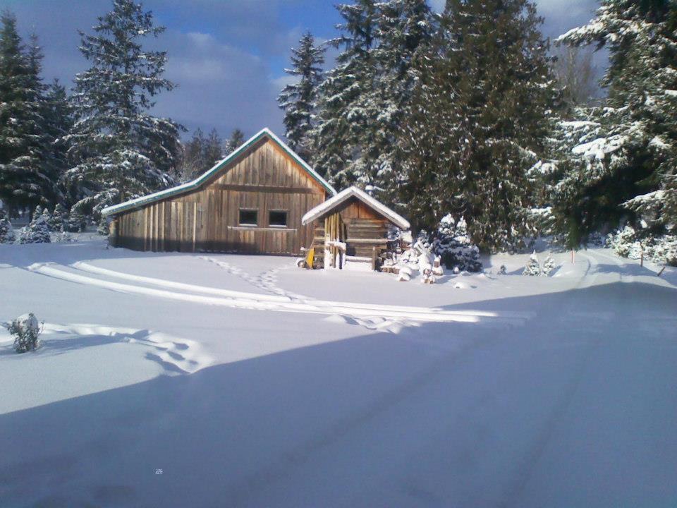 Fullner Christmas Tree Farm in Everson, Washington