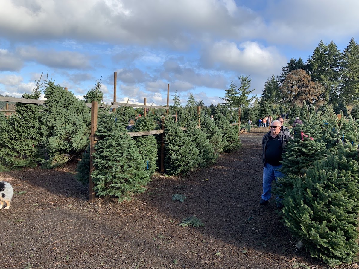 Furrow Farm in Hillsboro, Oregon