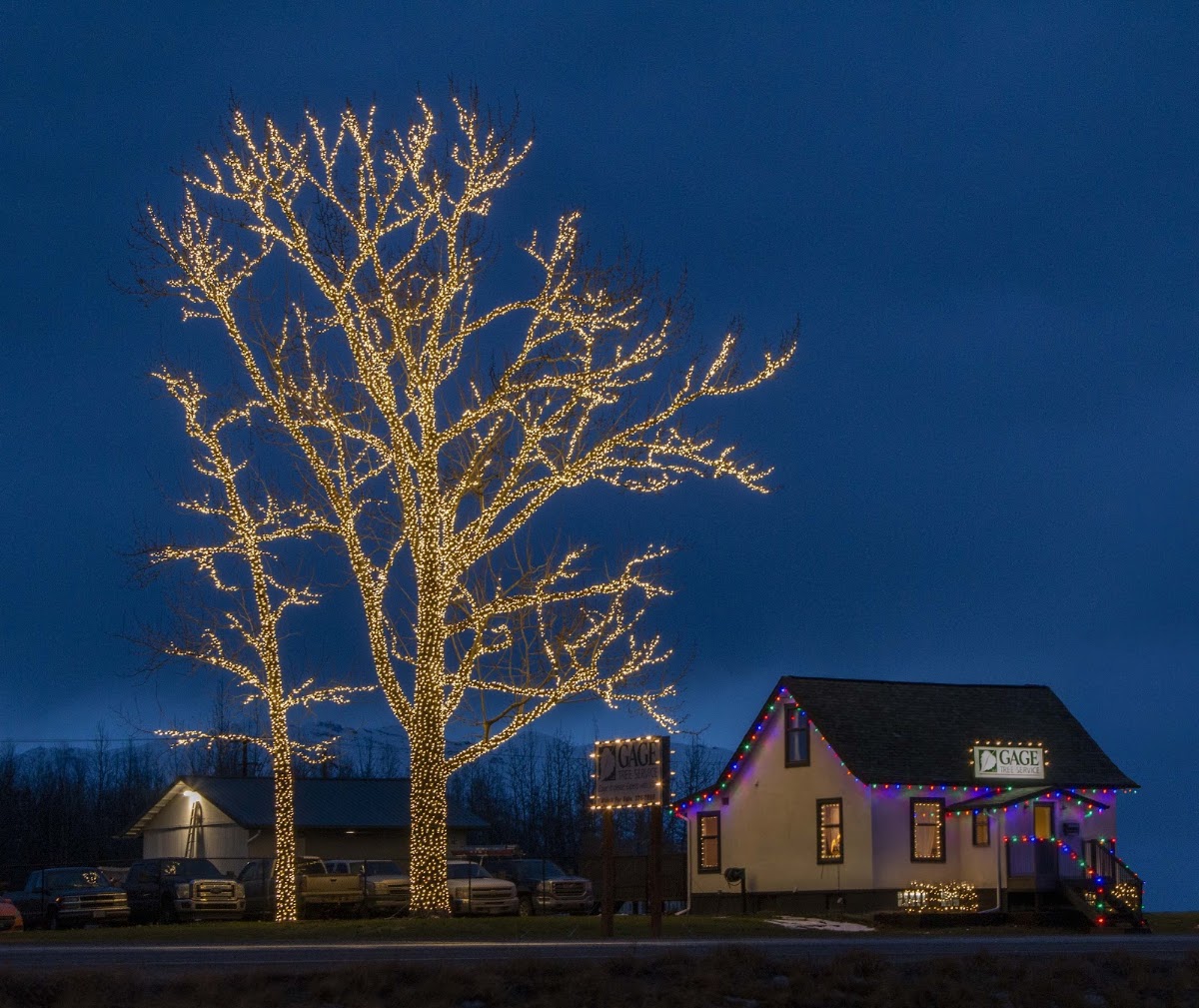 Gage Tree Service in Anchorage, Alaska