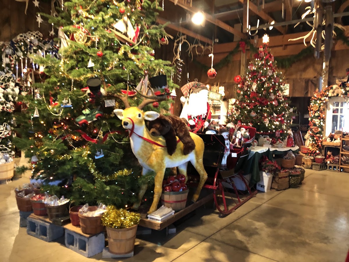 Galehouse Tree Farms in Doylestown, Ohio