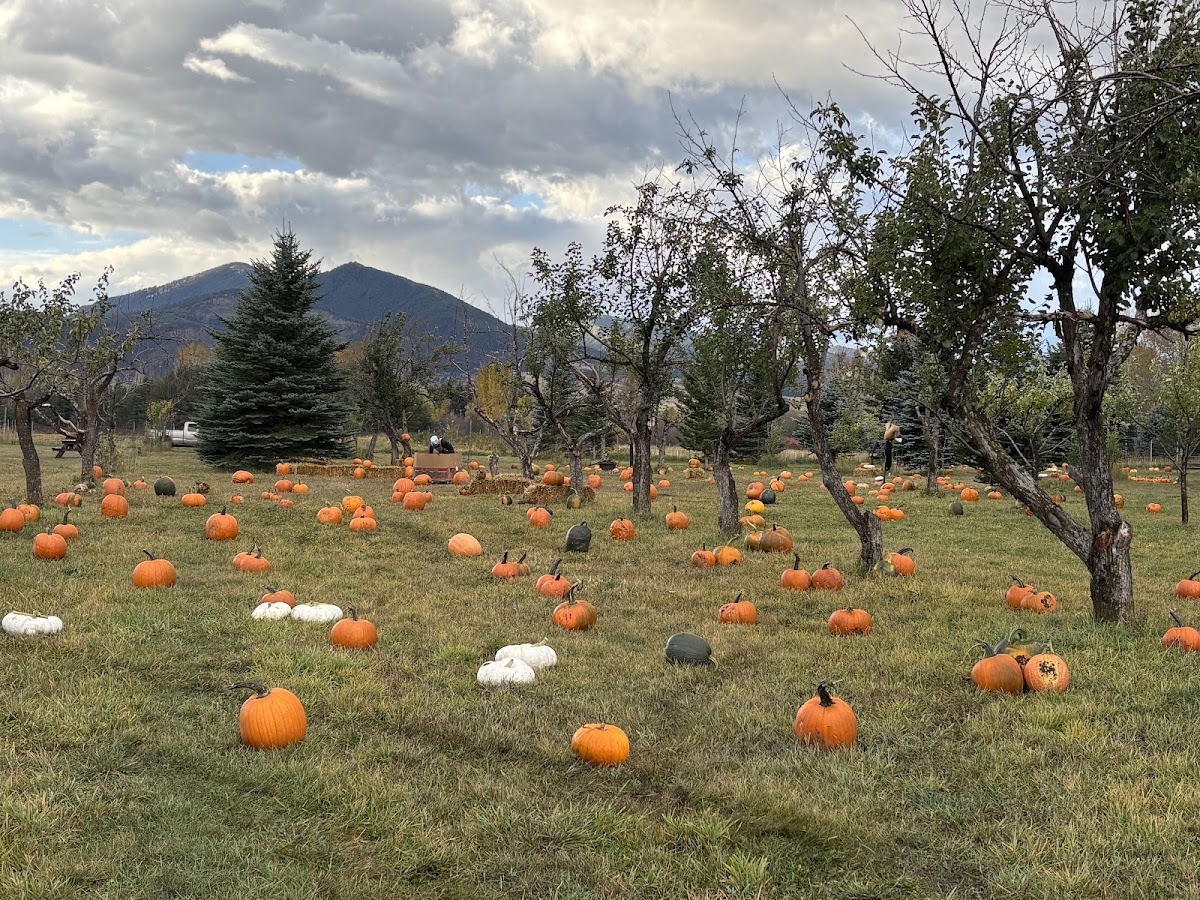 Gallatin Valley Botanical at Rocky Creek Farm in Bozeman, Montana