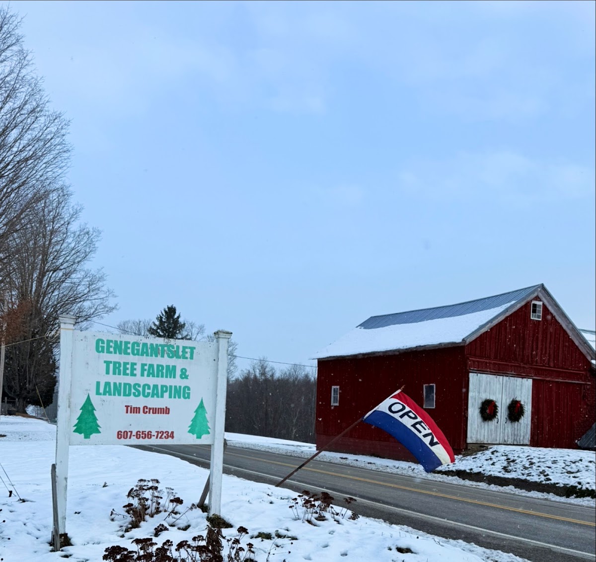 Genegantslet Tree Farm in Greene, New York