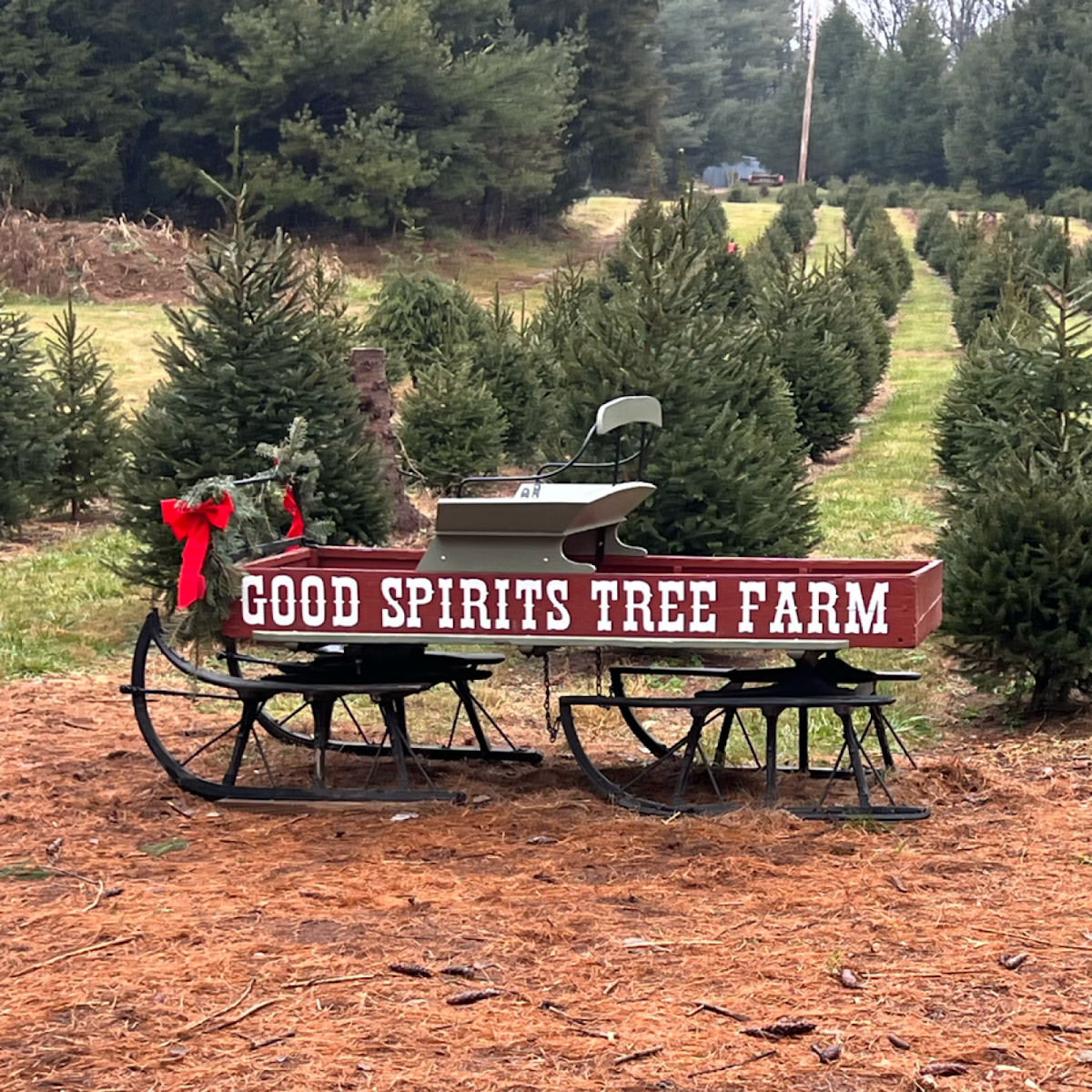 Good Spirits Tree Farm in Hagerstown, Maryland