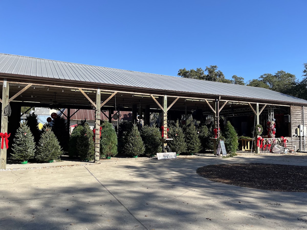 Goodman’s Tree Farm in Murrells Inlet, South Carolina