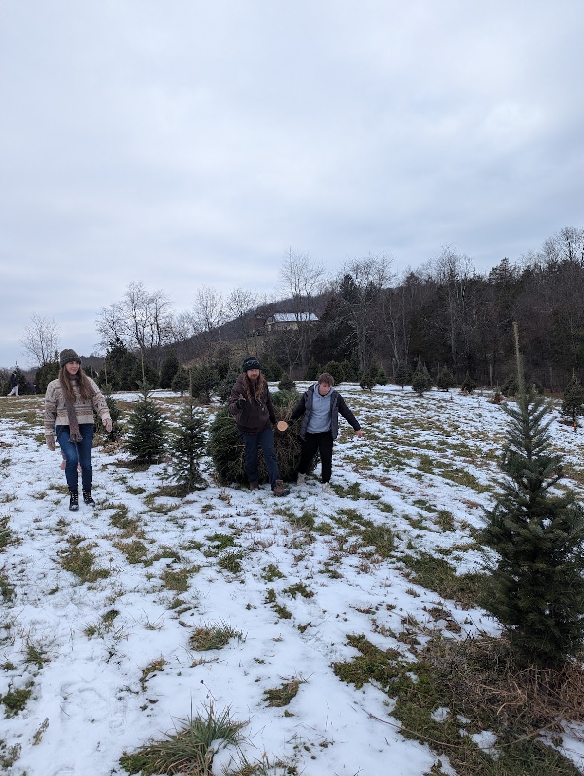 Goose Hollow Christmas Tree Farm in Lafayette Township, New Jersey