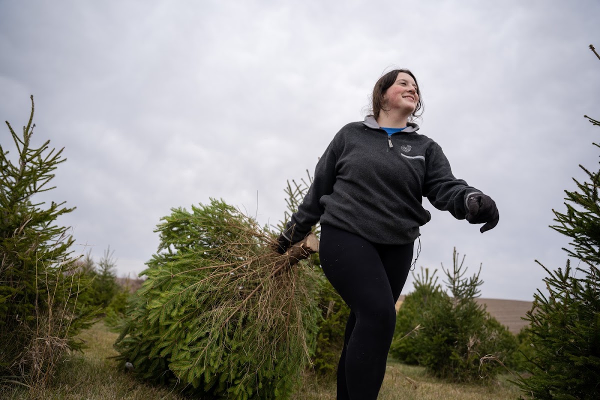 Gowdy Tree Farm in Melbourne, Iowa