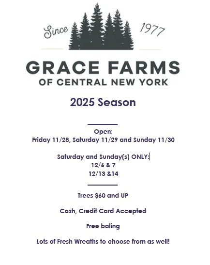 Grace Farms Christmas Tree Farm in Central NY in Central Square, New York