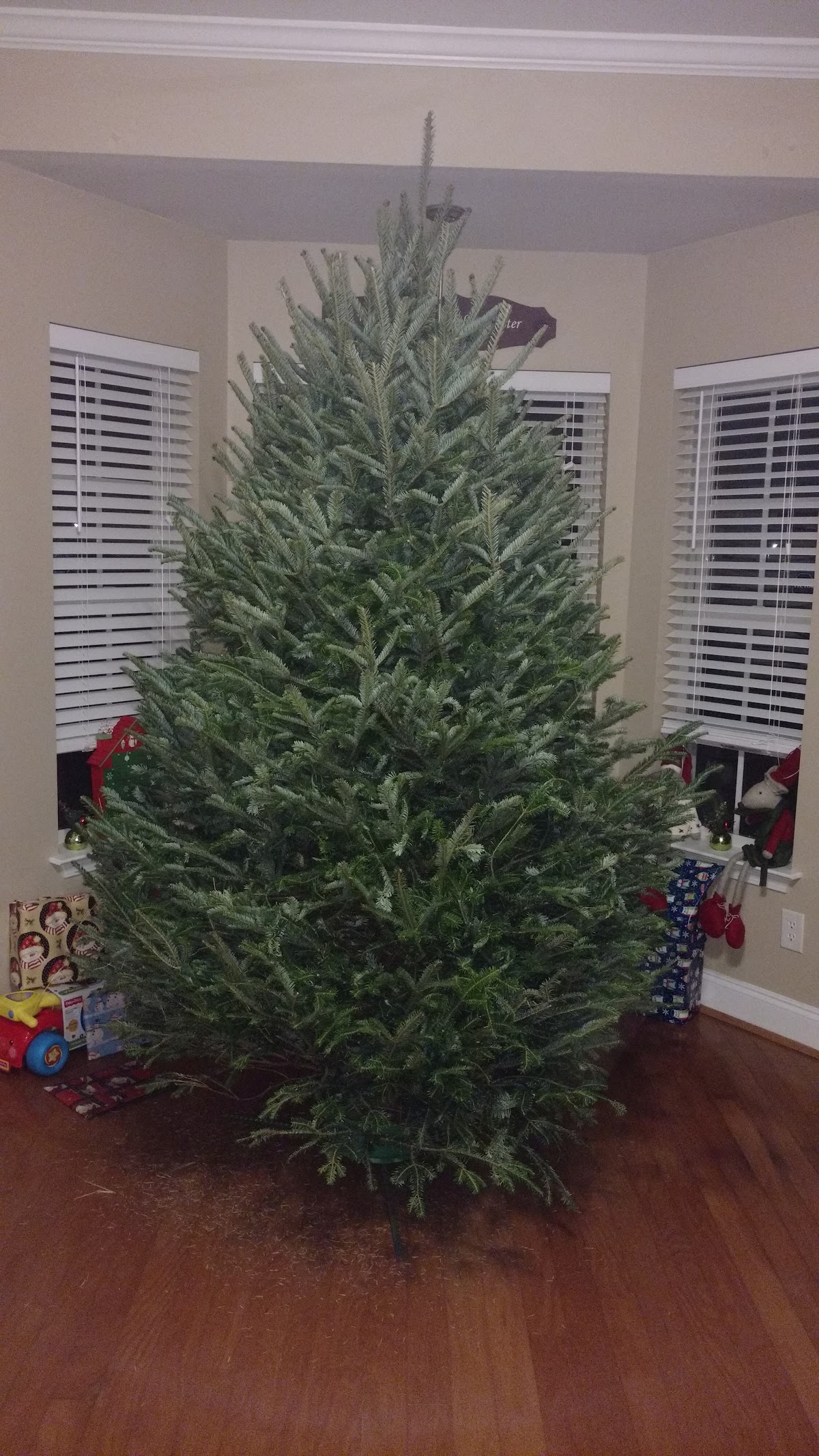 Granddaddy's Christmas Trees in Greenville, South Carolina