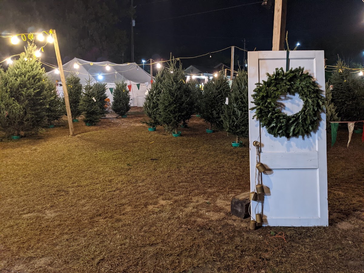 Granddaddy's Trees in Irmo, South Carolina