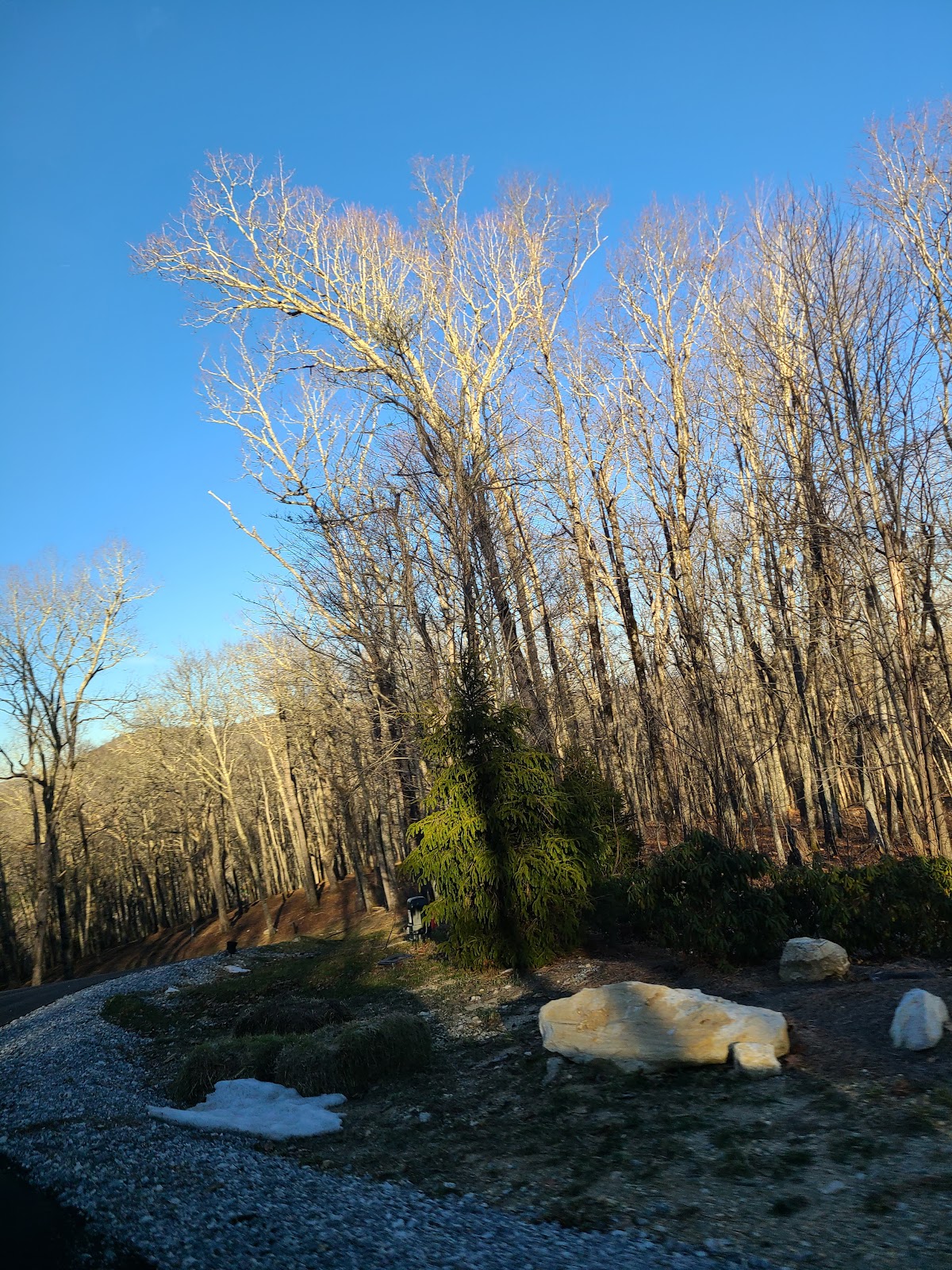 Grandy Mountain Christmas Tree Farm in Glenville, North Carolina
