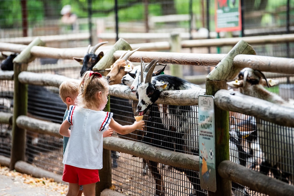 Grant's Farm in St. Louis, Missouri