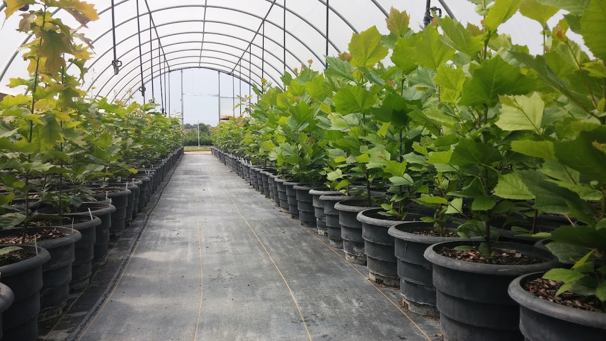 Great Plains Nursery in Weston, Nebraska