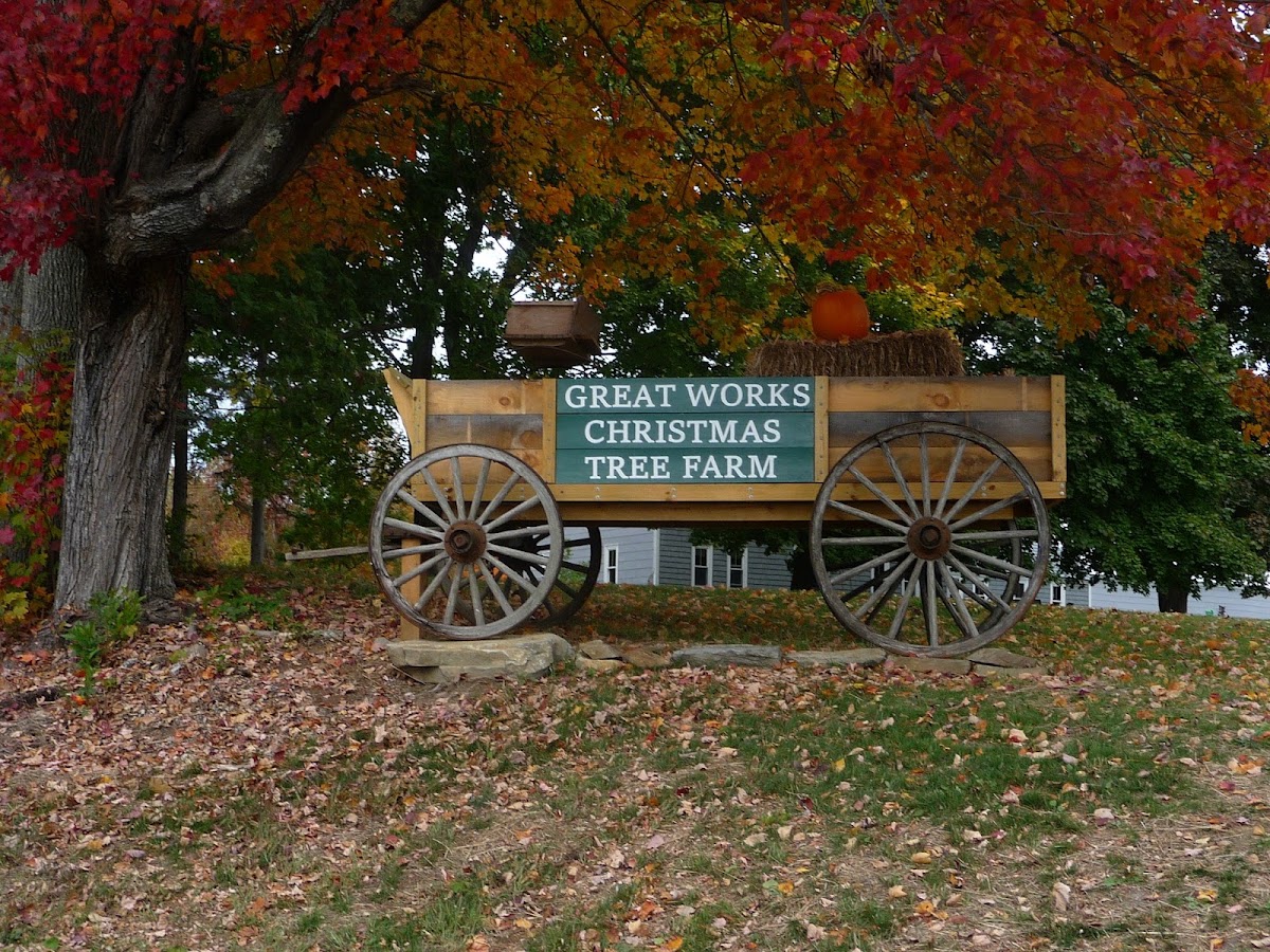 Great Works Christmas Tree Farm in North Berwick, Maine