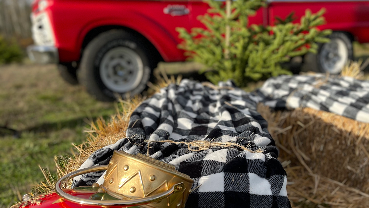Green Acres Christmas Tree Farm in Edgewood, Washington