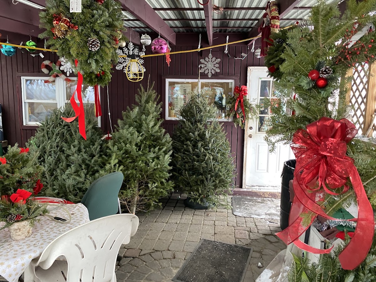 Green Acres Landscaping Christmas Trees in Revere, Massachusetts