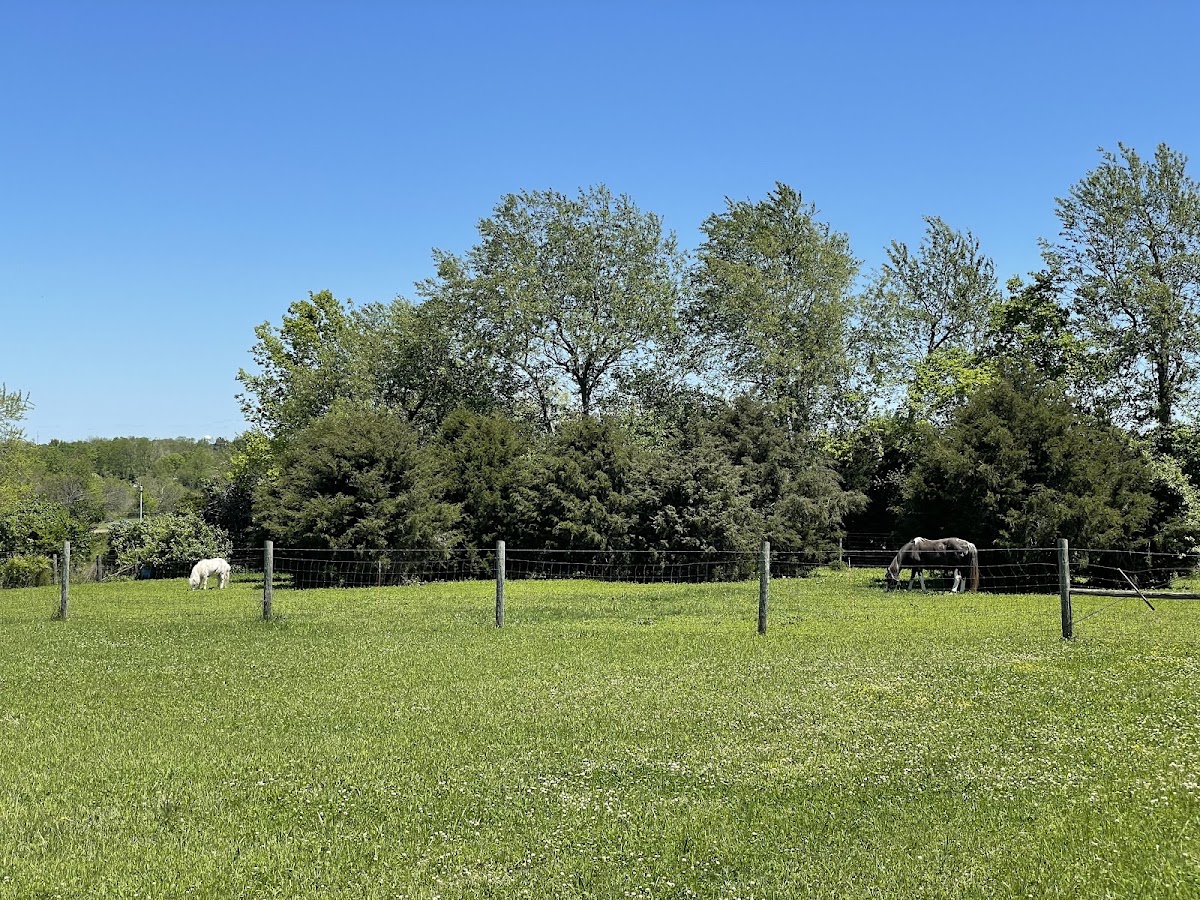 Green Cedar Farm in Nicholasville, Kentucky
