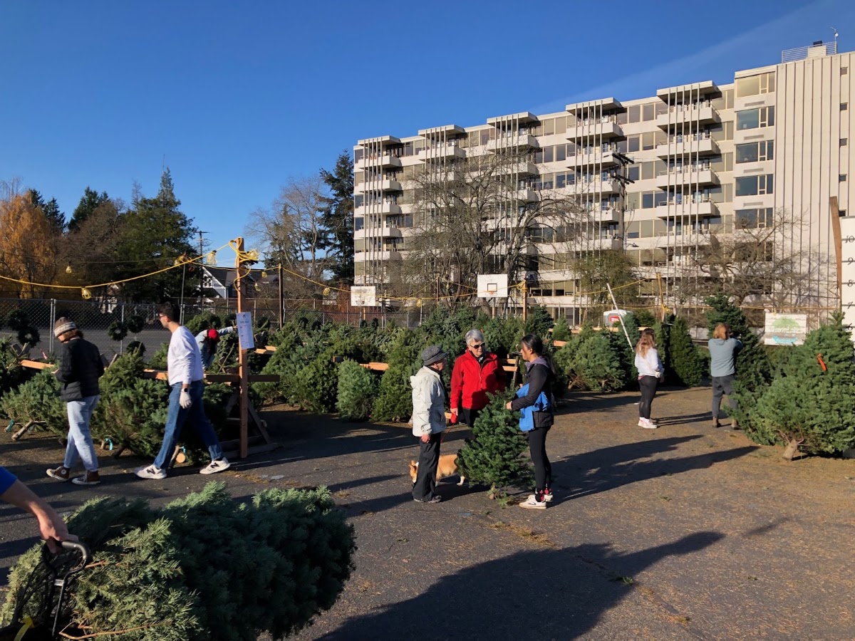 Green Lake Elementary Holiday Christmas Tree Farm (Lot) in Seattle, Washington