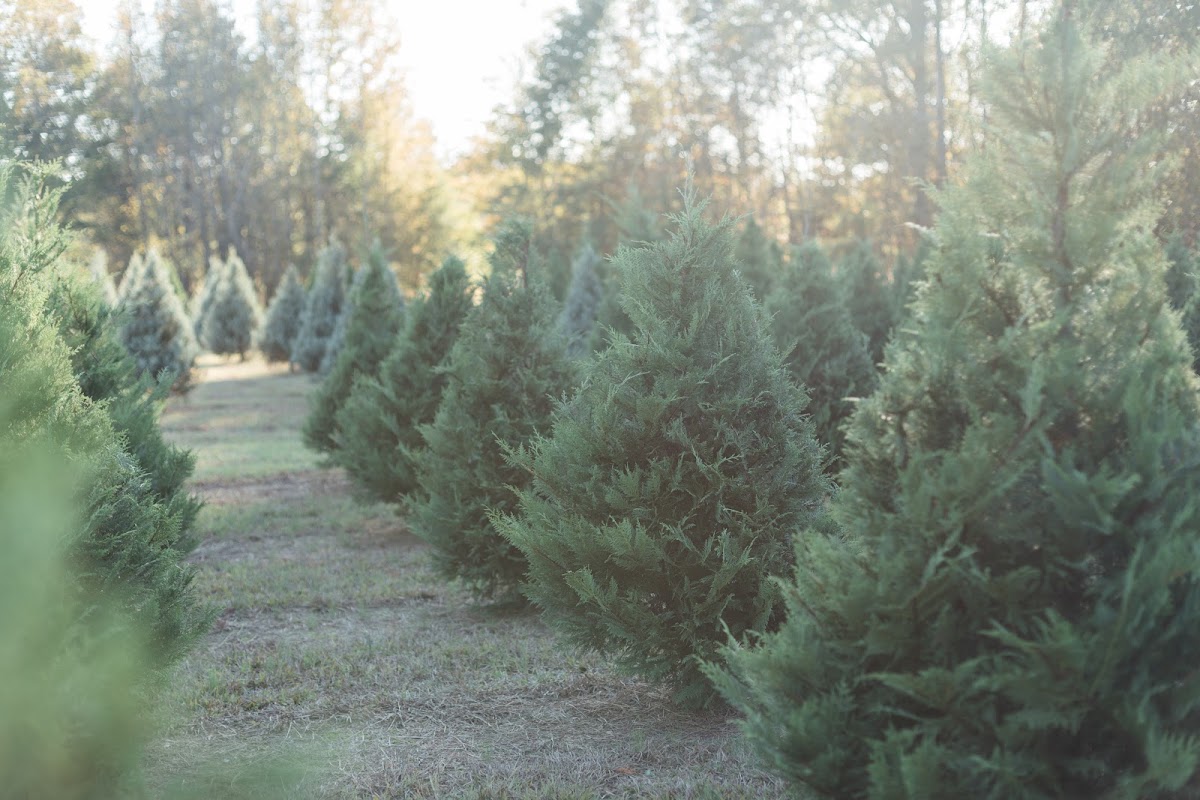 Greenbriar Creek Farm in Bishop, Georgia