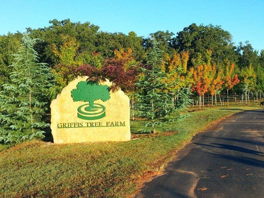 Griffis Tree Farm in Norman, Oklahoma