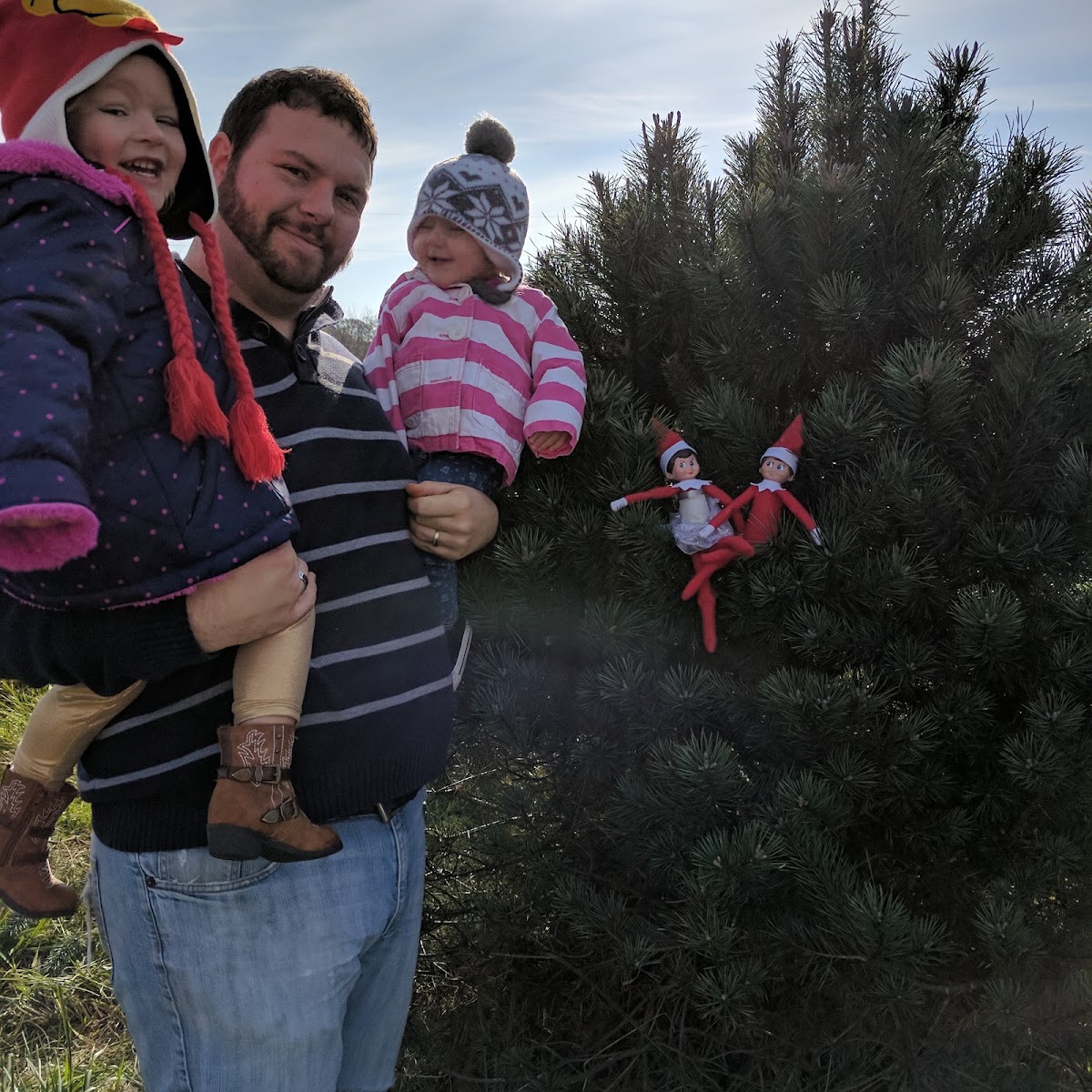 Grohmann's Christmas Trees in Gilson, Illinois