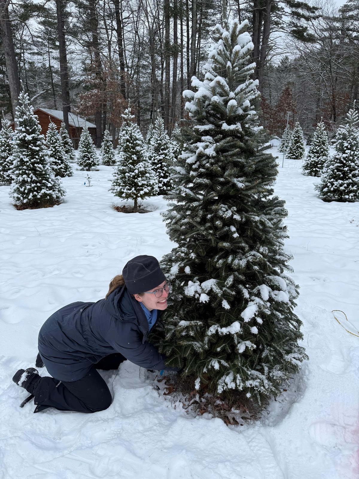 Grosman Tannenbaum Farm in Pelham, New Hampshire