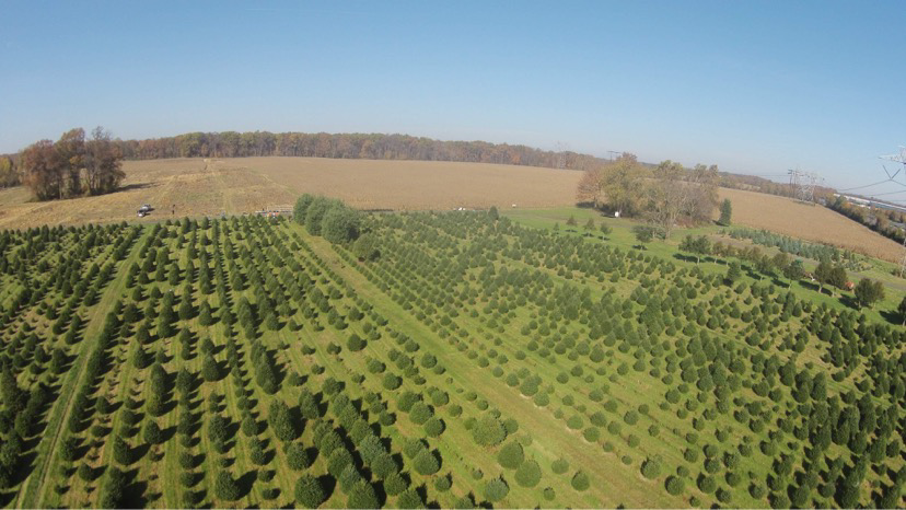 Habiak Farms in Monroe Township, New Jersey