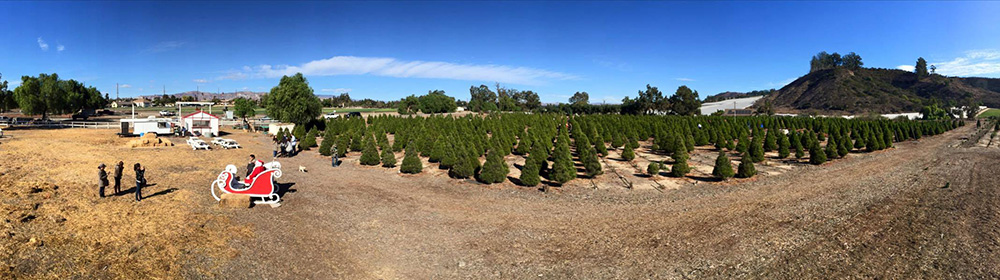 Hagle Tree Farm in Somis, California