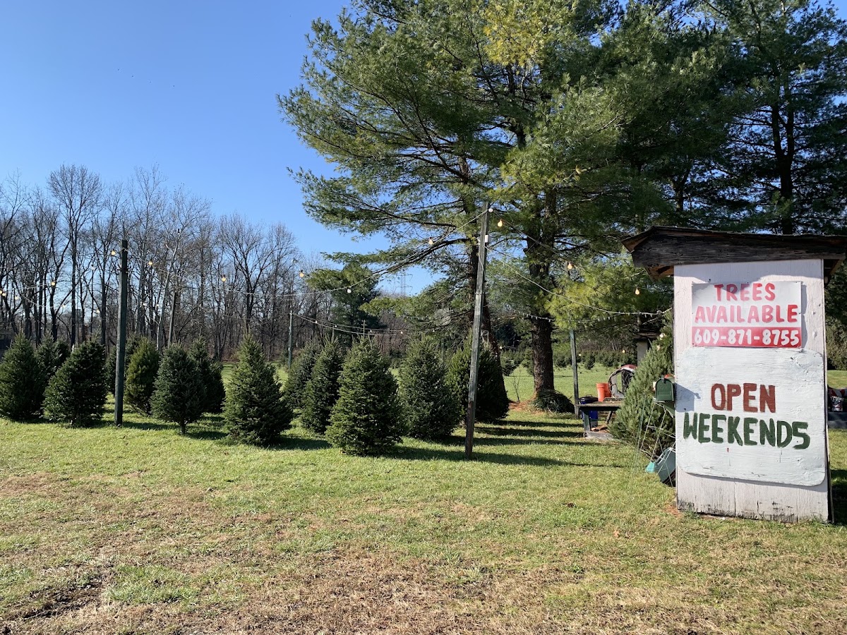 Haines Tree Farm in Burlington Township, New Jersey