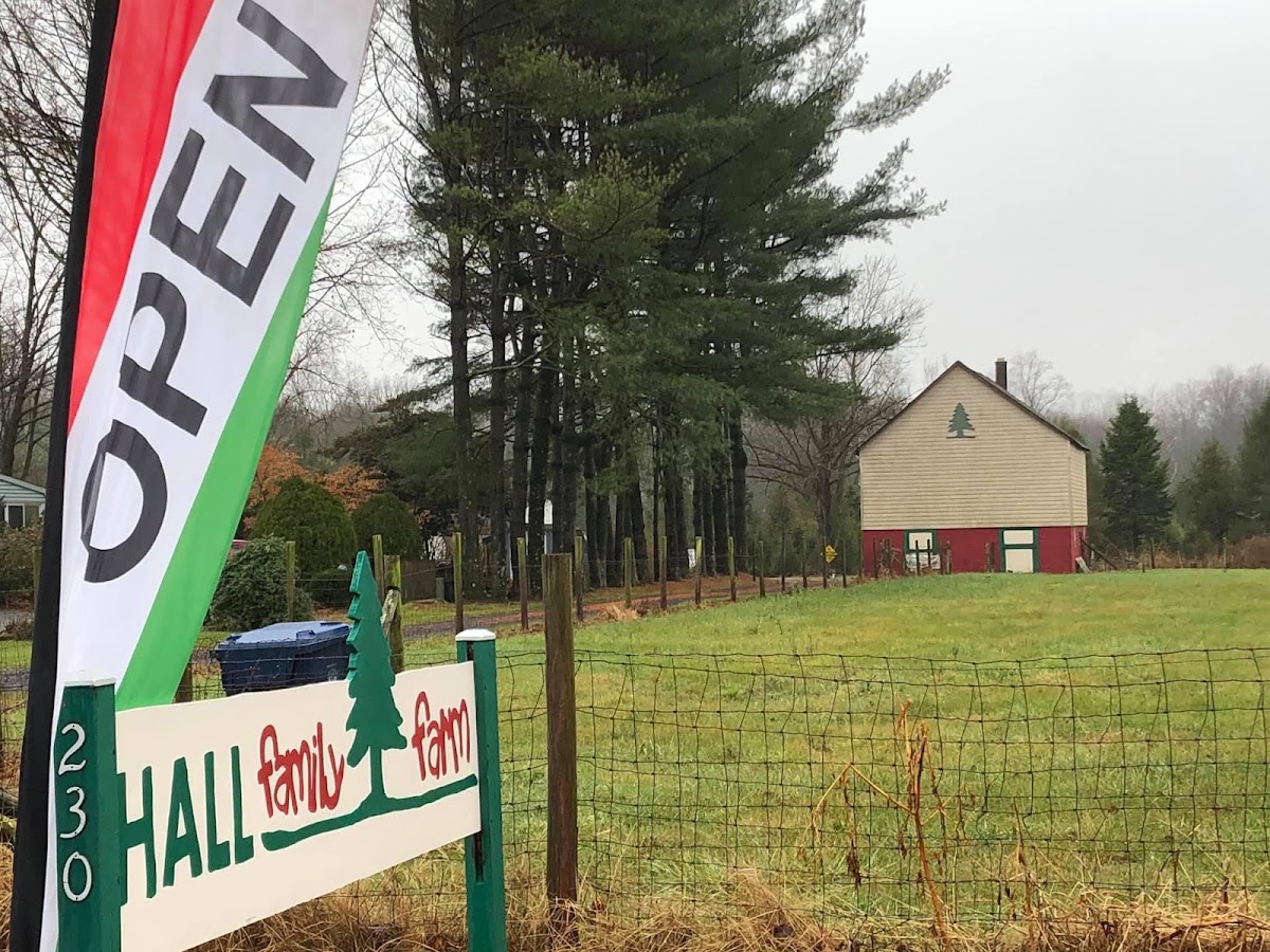Hall Family Christmas Tree Farm in Harrison Township, New Jersey