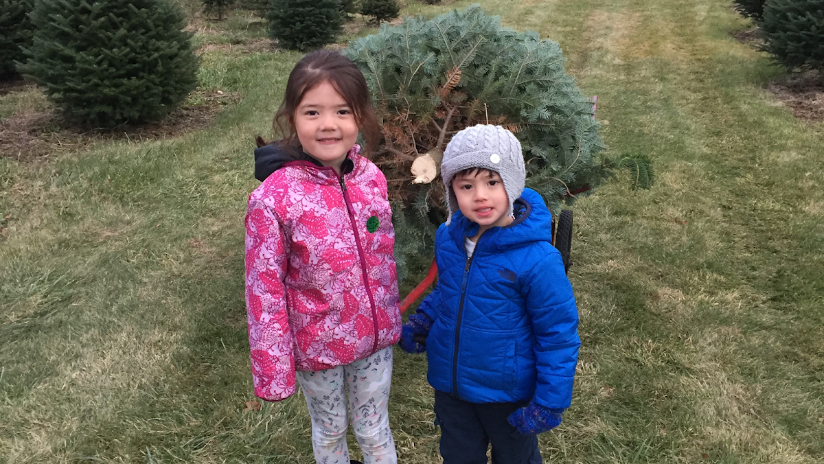 Hansen Family Tree Farm LLC in Woodstock, Connecticut
