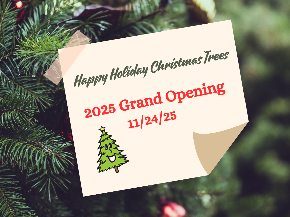 Happy Holiday Christmas Trees in Deerfield Beach, Florida