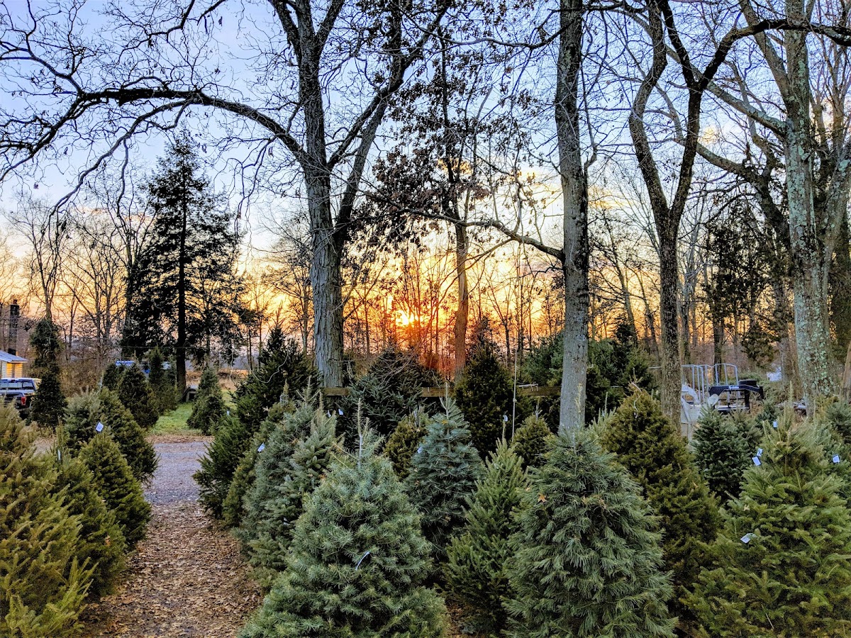 Harris Farm in Franklin Township, New Jersey