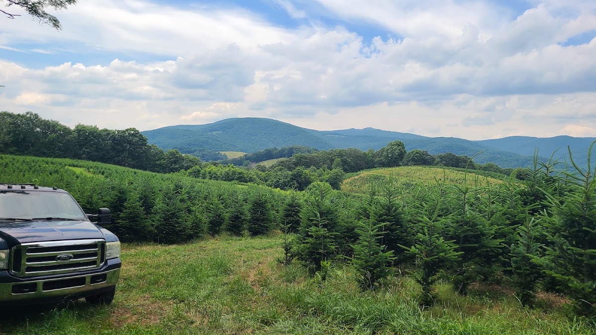 Hart-T-Tree Farms in Grassy Creek, North Carolina