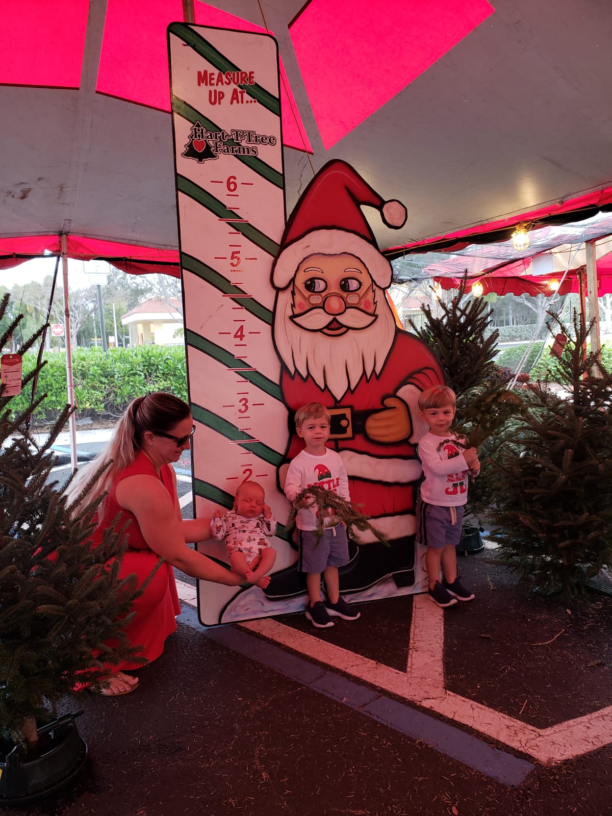 Hart-T-Tree Farms Retail in Boca Raton, Florida